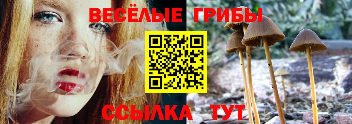 Узловая  Галлюциногенные грибы ЛСД  Вход с VPN  Галлюциногенные грибы мухоморы 